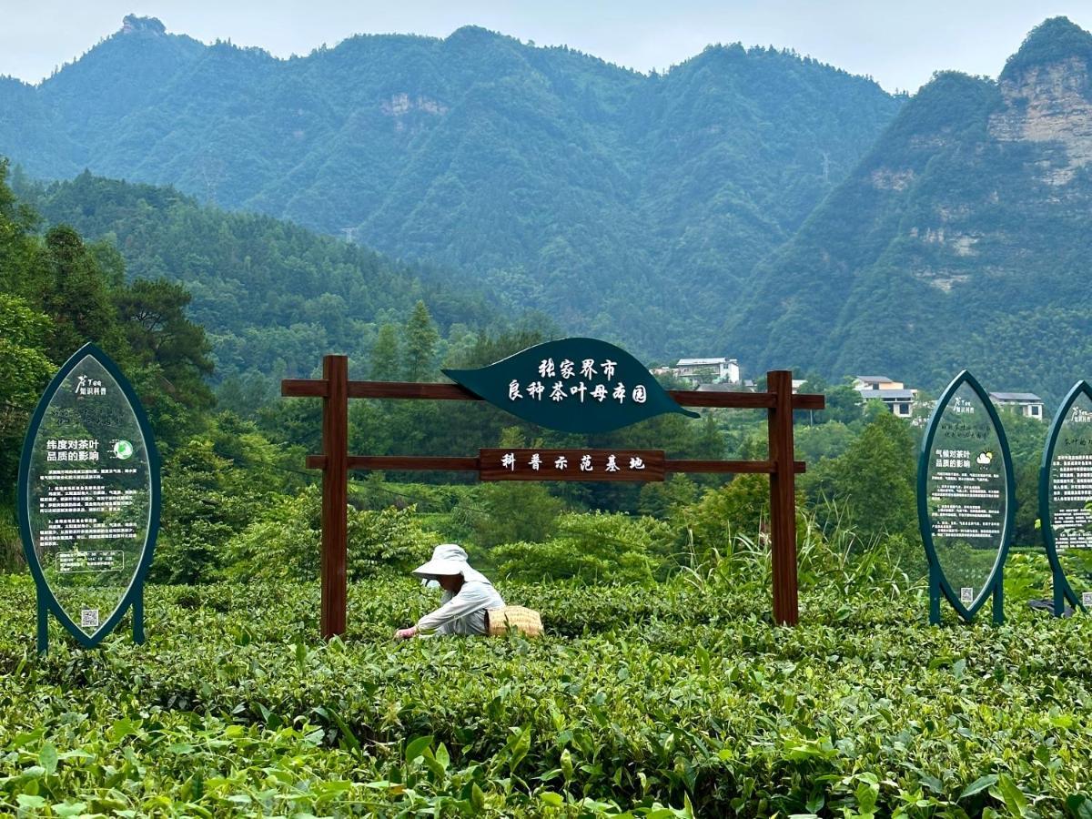 Zhangjiajie National Park Nvue Resorts Bagian luar foto