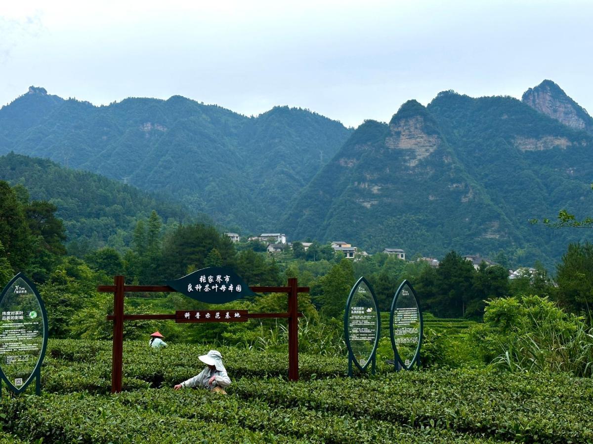 Zhangjiajie National Park Nvue Resorts Bagian luar foto